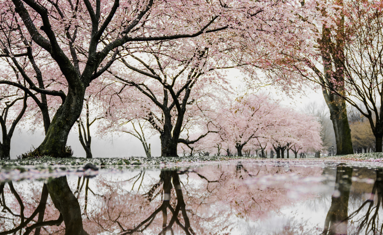 Effortless Everyday Style